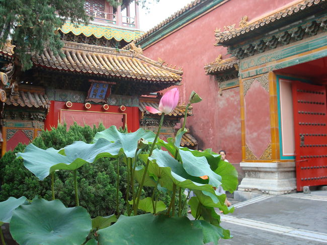 出口近くにあったハスです。<br /><br />中国の建物に良く合います。