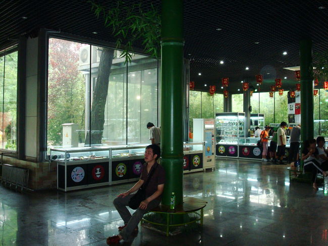 可愛いぱんだにうっとりしていたら、あっという間に１時間半経っていました。<br /><br />夫くんは竹のベンチでぐったりです。<br />あの。。まだ９時半なんですけど・・。<br />どうやら昨日の疲れを引きずってるみたいです。<br /><br />これから長城に行くというのに大丈夫か？！