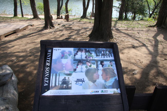 おまけは元祖韓流「冬のソナタ」ツアー！<br /><br />もう、さすがにツアーはないだろうと思っていたら以外とあるもんで、ネットで見つけました。<br />一日で￥4,550<br />なかなか安い。<br /><br />さすがに、参加者はいないだろうとおもっていたらば、６０歳前後の夫婦と３０歳前後の夫婦の参加が・・・<br /><br />根強い人気にびっくり！私は母のお供です。