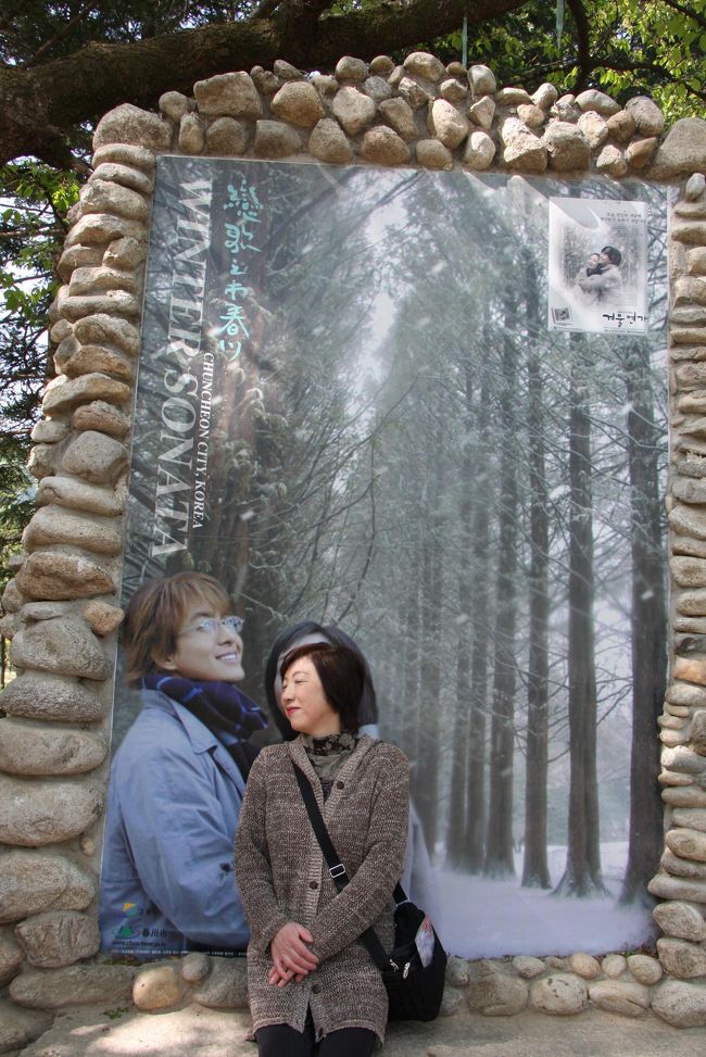 ま、なりきり写真は必要です（笑）<br /><br />7：00　各ホテルピックアップ（ソウル市内ならきてくれます。某大手旅行会社だとロッテホテルまで自分でいかないといけません。<br /><br />9：00　ナミソム島への船着場<br />9：30　船でナミソム島<br />9：40　メタセコイヤ並木道、ファーストキスのベンチ（コンクリートで雪だるまあり）、撮影時の写真展示館など<br /><br />11：30　春川中央市場通り（チェジウの母の店、ヨン様ラーメン店）<br />12：00　ダッカルビの昼食<br />13：00　春川高校、ヨン様の家、何かの島？（これも撮影の何かだと思いますが・・・<br />16：00　ロッテホテル着<br /><br />とこういったスケジュールです。<br /><br />申し込みはこちら<br />http://www.konest.com/tour/tour_detail.html?t_id=D1_WinterSonata<br /><br />書き込みみたら、今でも数人ですが、日本人の参加者がいるようです。恐るべし、ヨン様！ 