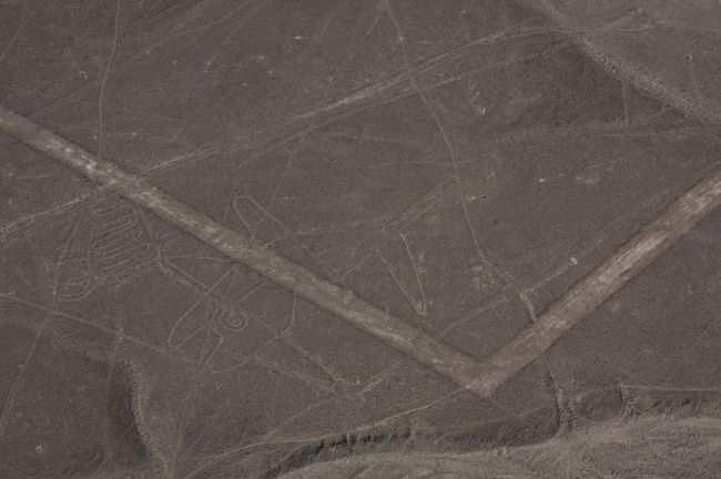 フライト証明書の裏に見る順番があります。<br /><br />最初は「くじら」を見ます。<br /><br />