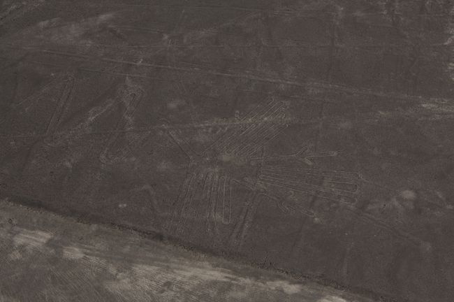 パリワナは地上絵で２８０ｍと一番大きい。<br />