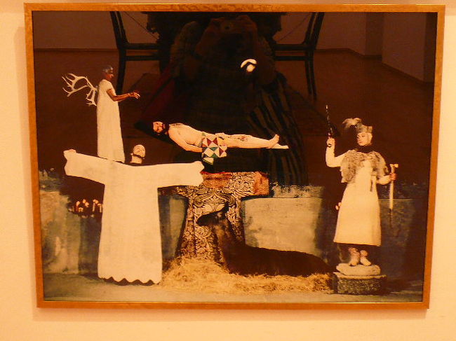 どうやって撮影したんだろう