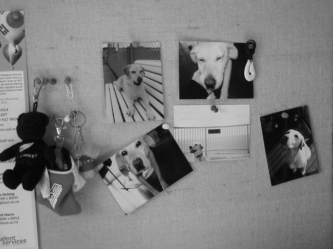 部屋<br /><br />机の前のコルクボード