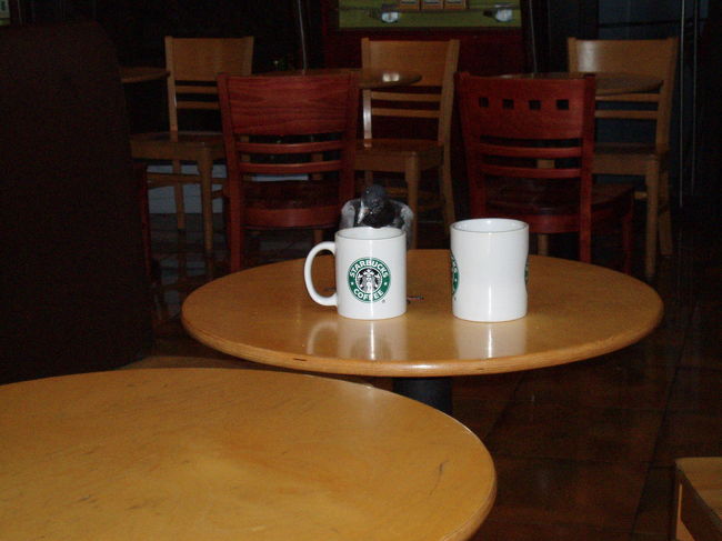 2006年4月12日<br /><br />スタバにはハトも来ます