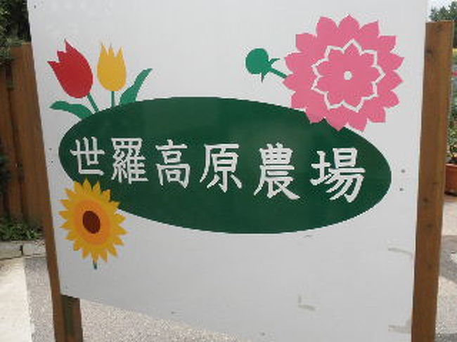 世羅高原農場 100万本のひまわり畑 世羅 広島県 の旅行記 ブログ By あやさん フォートラベル