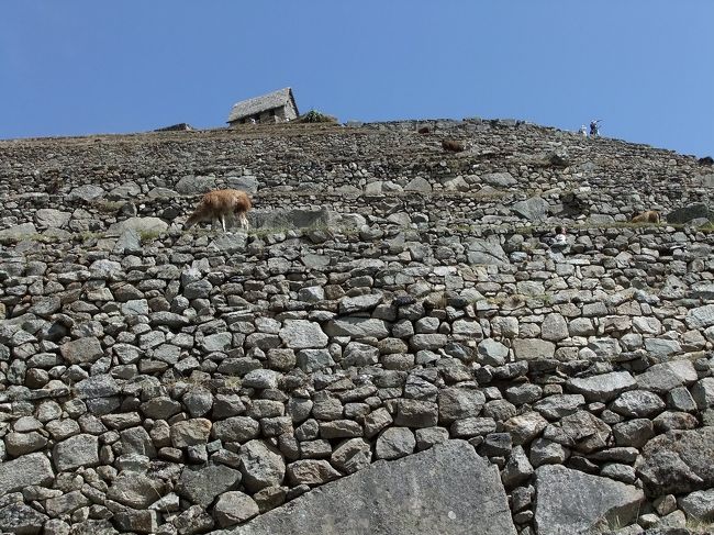 あんなところまで、よく登ったわ…（笑）