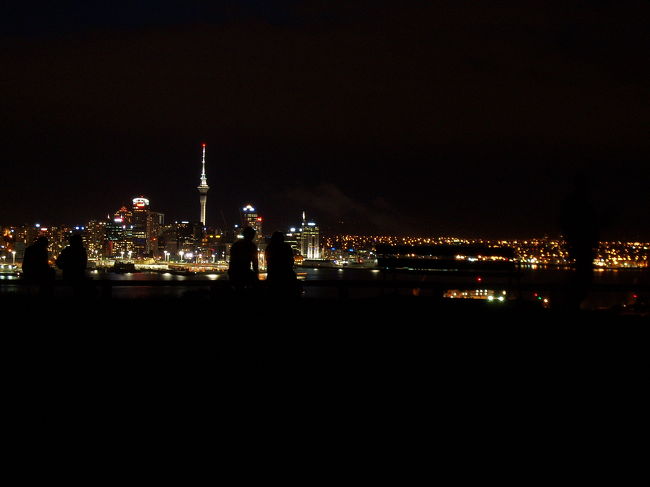 夜景に見とれる。