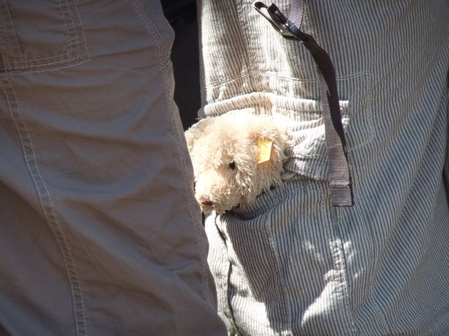 ごついオッサンのズボンのポケットからかわいいものが…（笑）