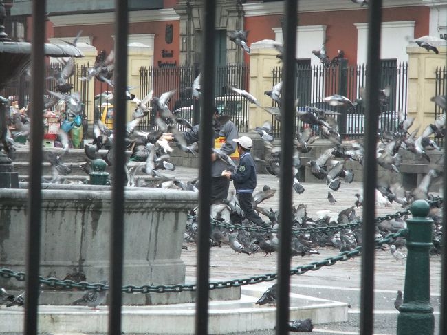 ハトに餌をまくとこうなります（笑）。<br /><br />サン・フランシスコ教会にて。