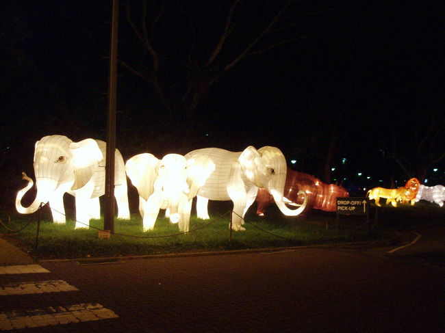 ナイトサファリへ<br /><br />中の動物たちは暗すぎて写真には撮れず･･･