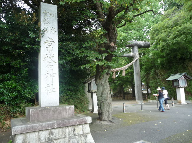 偕楽園の東側には「常磐神社」があります。<br />「常磐神社」は水戸藩２代藩主徳川光圀公・９代藩主徳川斉昭公を祀る神社です。<br /><br />おだんごさん（左）とwifeが歩いています。