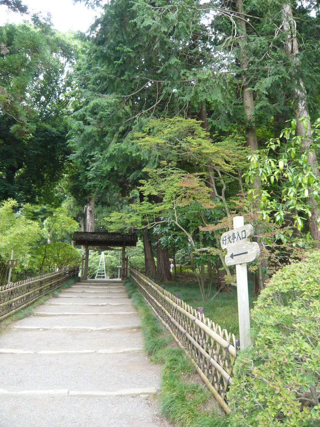 「好文亭」の入口へ通じる通路。<br /><br />Photo by wife