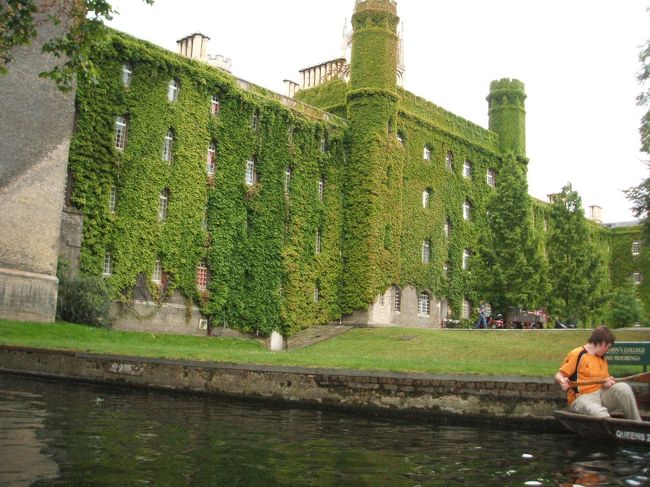 ツタが綺麗な建物