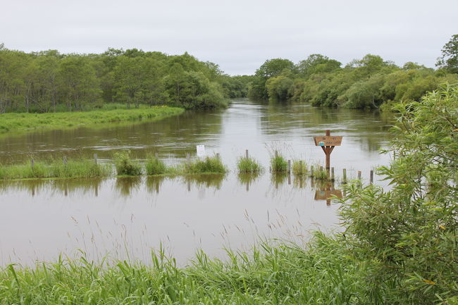 展望台からの帰り、<br />カヌーの出発点も、もう一度ゆっくりと見てきました。<br />そして、ホテルに戻り、朝食を食べ朝風呂に入りました。