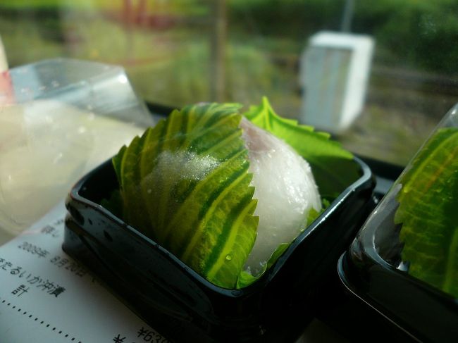 疲れた体にしみ込んだくずもち。<br />駅前の商店で買いました。<br />冷凍していたのを、自然解凍して食べたので<br />若干のしゃきしゃき感がたまらんかった。