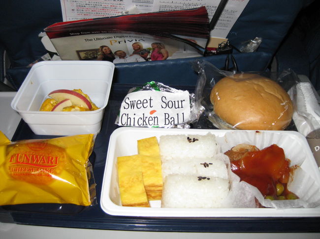 機内食<br /><br />アルコールは有料とのことでした。たしか７＄。<br />昔はガバガバ飲んでいた私ですが、<br />まだまだ先は長い。<br />子どもたちを連れて、よれよれになってはイケない。<br />無事にホテルにつくまでは・・・(>_