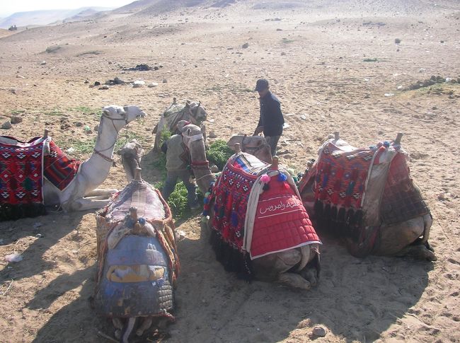 どの子にお世話になろうかな・・・♪