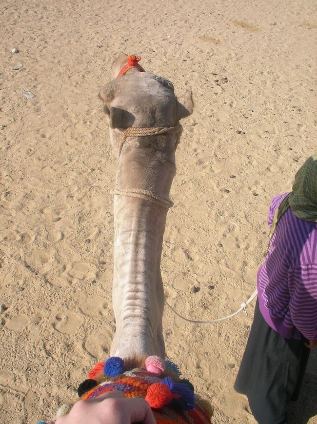 ｷｬｰ　ちょっと高いです^^