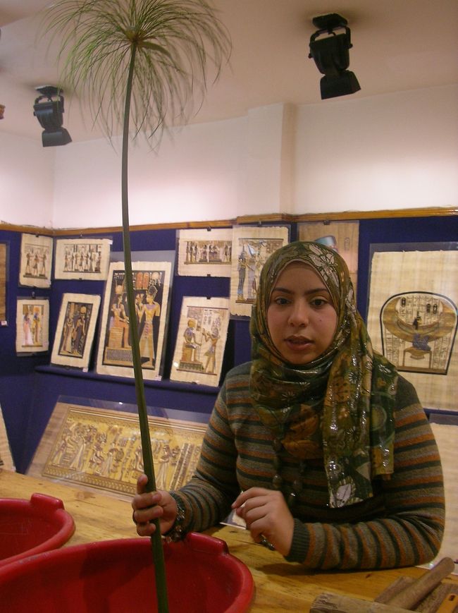 ピラミッドのあとは、<br />ツアーおきまりのパピルス屋さん♪<br /><br />象形文字ネーム入りのパピルスのしおり買いました。