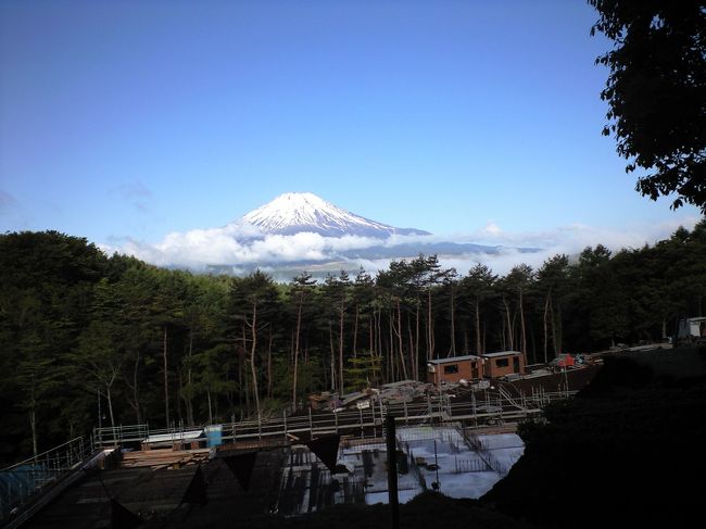 部屋の庭からこんな絶景の富士山が見られるなんて，とても良いホテルです！ 