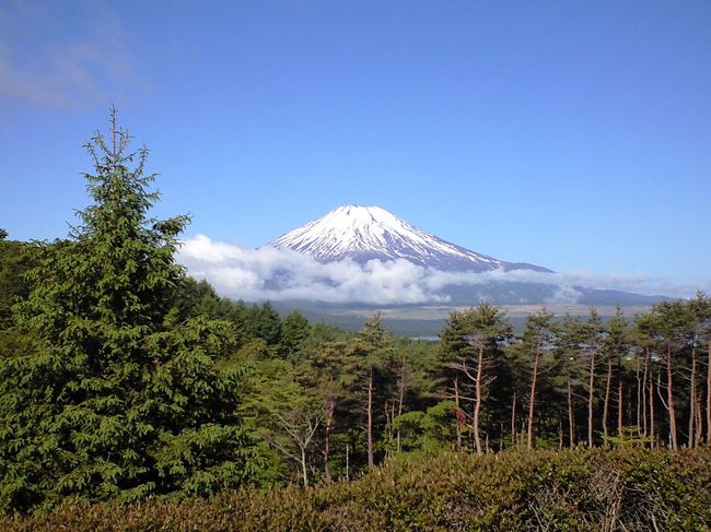ちょっと雲がかかっていますが，それもまた素敵。 