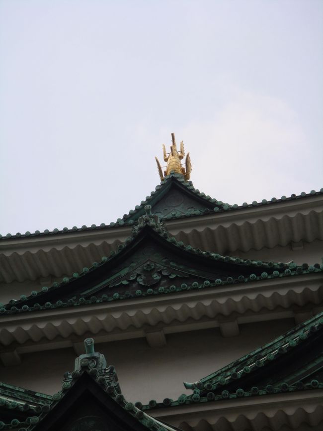 お？<br />しゃちほこさん、お尻から激写です(笑)