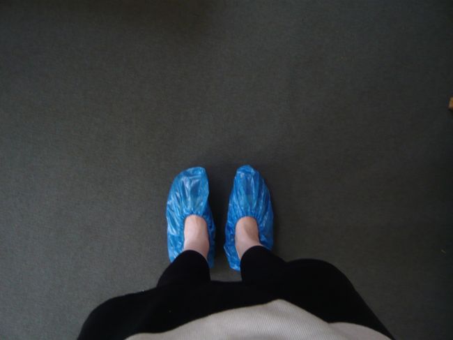 靴にビニールを被せておじゃまします