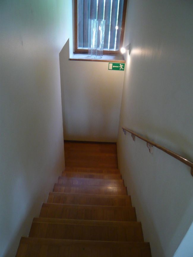 窓のところに大きなサヴォイベース