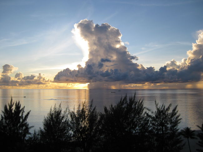 いつものフィエスタに移動して。