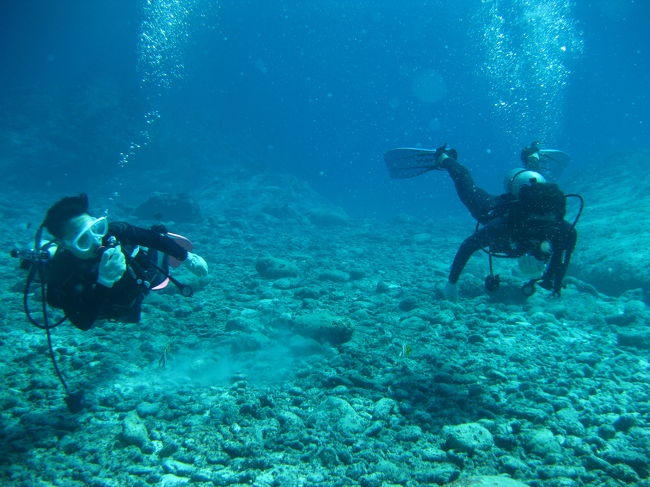 オブジャンで久々のダイブ。