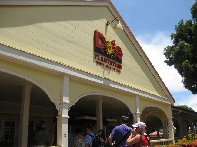 　途中ワイケレアウトレットに寄り道して、お決まりのドールプランテーションに行きました。<br />　あっ、そういえばモアナルアガーデンのこの木なんの木見てくるの忘れた！<br />　最初、左ハンドル右側通行に余裕がなく、行く予定にしていたのにすっかり忘れてしまいました。