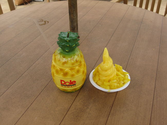 　ドールのスーベニアカップとアイスクリーム。