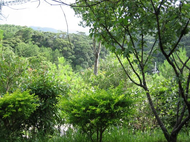 同じくテーブルからの景色。<br />ハーブティーをゆったり楽しみました。