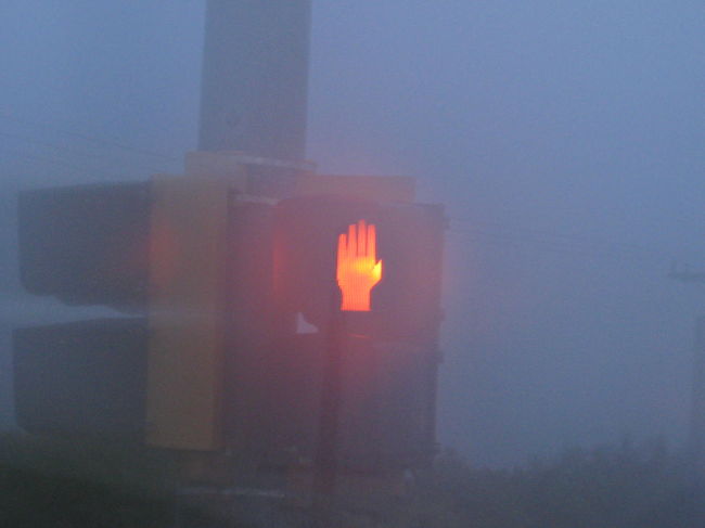 日暮れまでＫマート滞在。<br />帰りは大雨でした。<br /><br />夕食はＤＦＳ横の我が家８８で焼肉〜。