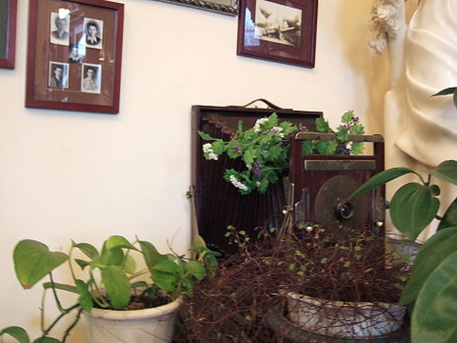 店内に飾ってあったカメラ。こういうカメラが絵になるようなお家に住まなければ。