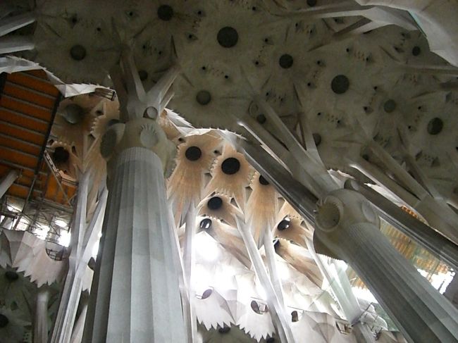 中も曲線。自然美をあらわしているそうです。たしかに枝に見える。。。