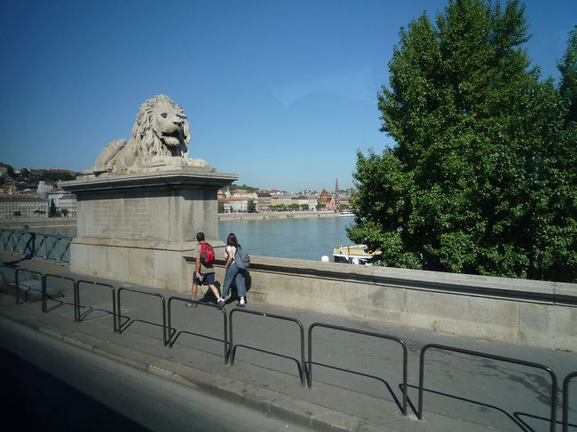 くさり橋のライオン<br /><br />威厳さがあります。