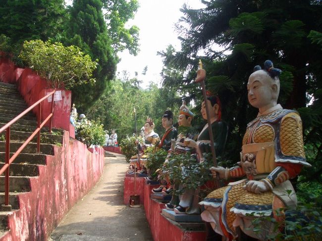 更に上にカラーの像が延々といらっしゃいましたが、極度の疲労の為、失礼させていただきました！