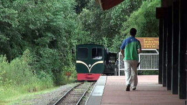 トロッコ列車<br />　<br />　これに乗って、イグアスの滝まで向かいます。
