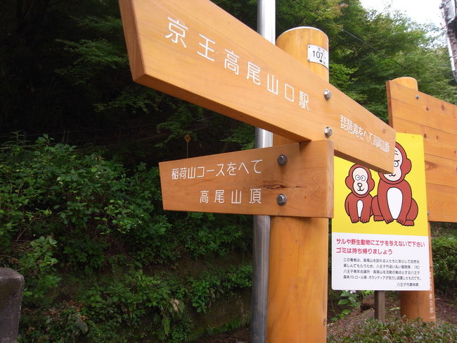 さあ、出発です。<br />高尾山頂コースへ行きます。