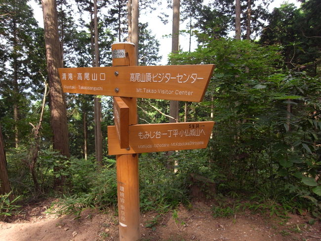 親の後を付いていきます、自分がどのコースを歩いているのか予習しなかったんで、さっぱり。<br />こういう積み重ねで何かあったら、遭難したりするかも、と実感。<br />以後気をつけます。