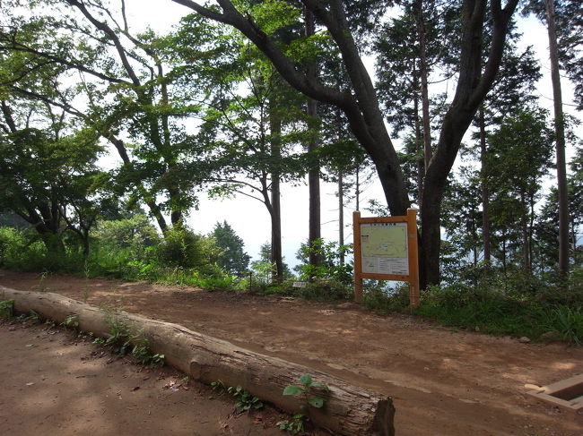 標高が上がるにつれ、涼しく、気持ちよいです。