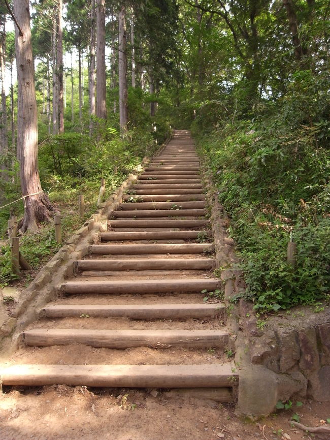階段、辛いです・・