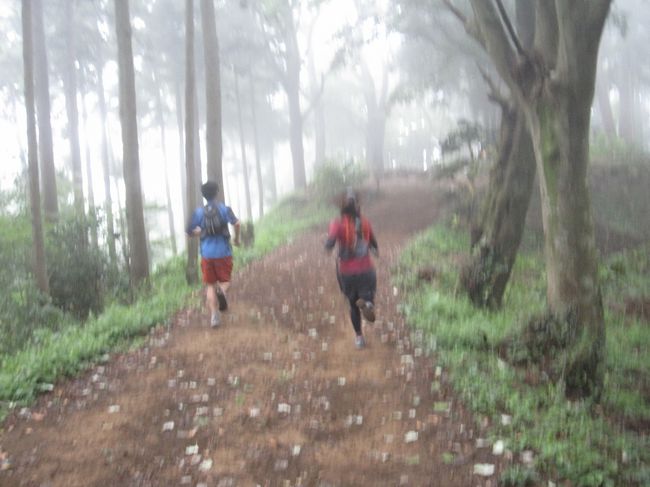 登山道の向こうから物音がすると思ったら、カップルのトレイルランナーが凄い勢いでやってきました。