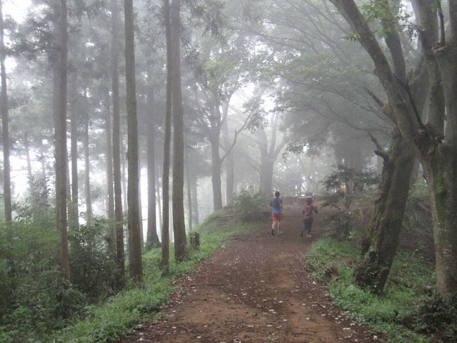 トレイルランナーは早いです。あっという間に走り去って行きました。