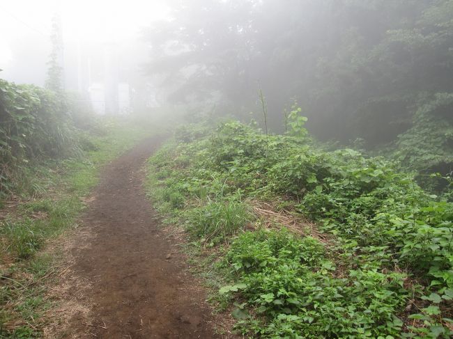 程なくして小仏城山に到着です。