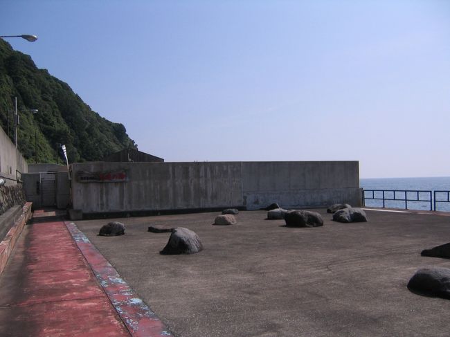 一番乗りです♪　やった〜<br /><br /><br />手前に、小さめのプール２（空でした）<br /><br />ここは甲羅干しの広場？