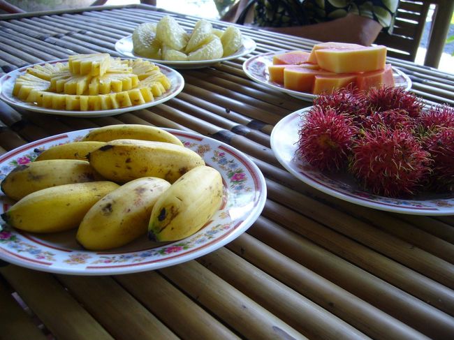 ちょっと進んだら、またまた休憩。<br />今度はフルーツとベトナム茶が振舞われました。<br /><br />新鮮な南国フルーツは、やっぱり美味☆