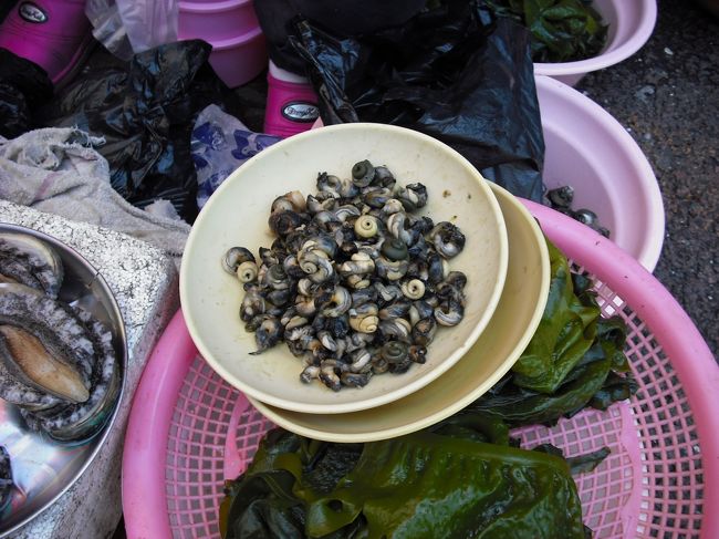 大好きな「ほじほじして食べる貝」<br />それも、ほじほじ済み<br />お買い上げ〜5,000ウォン<br />